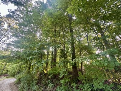 1ac Reed Strickland Lane