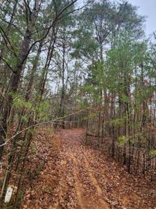 457 County Road 280