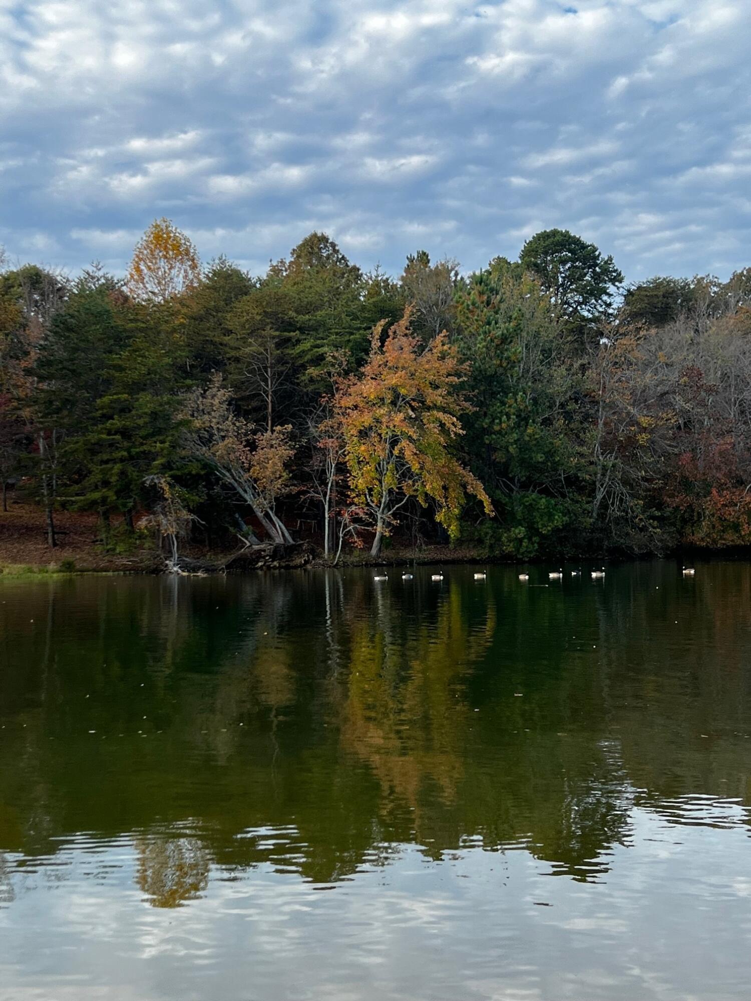 Image 1: lake