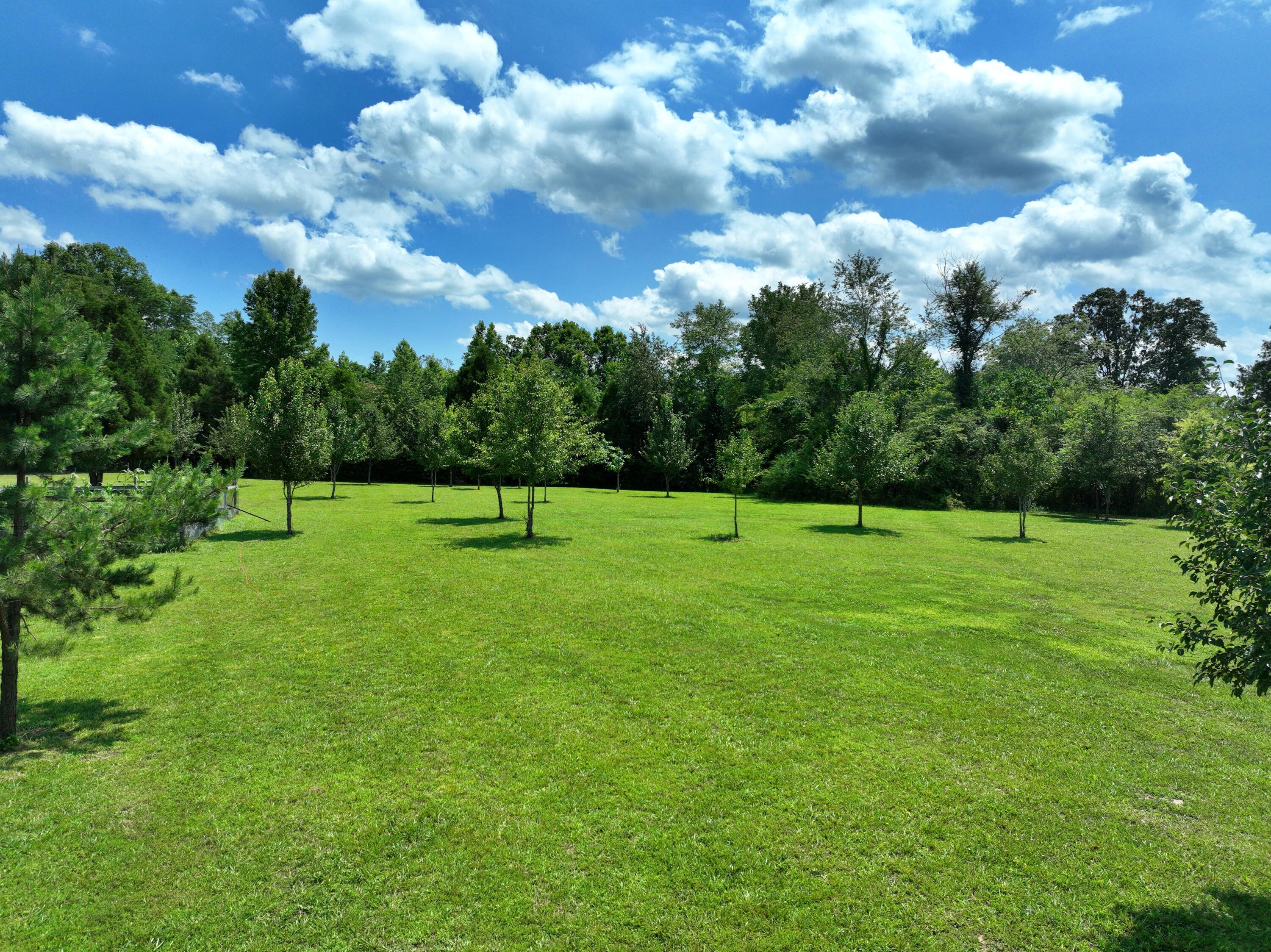 Image 4: DJI_0651