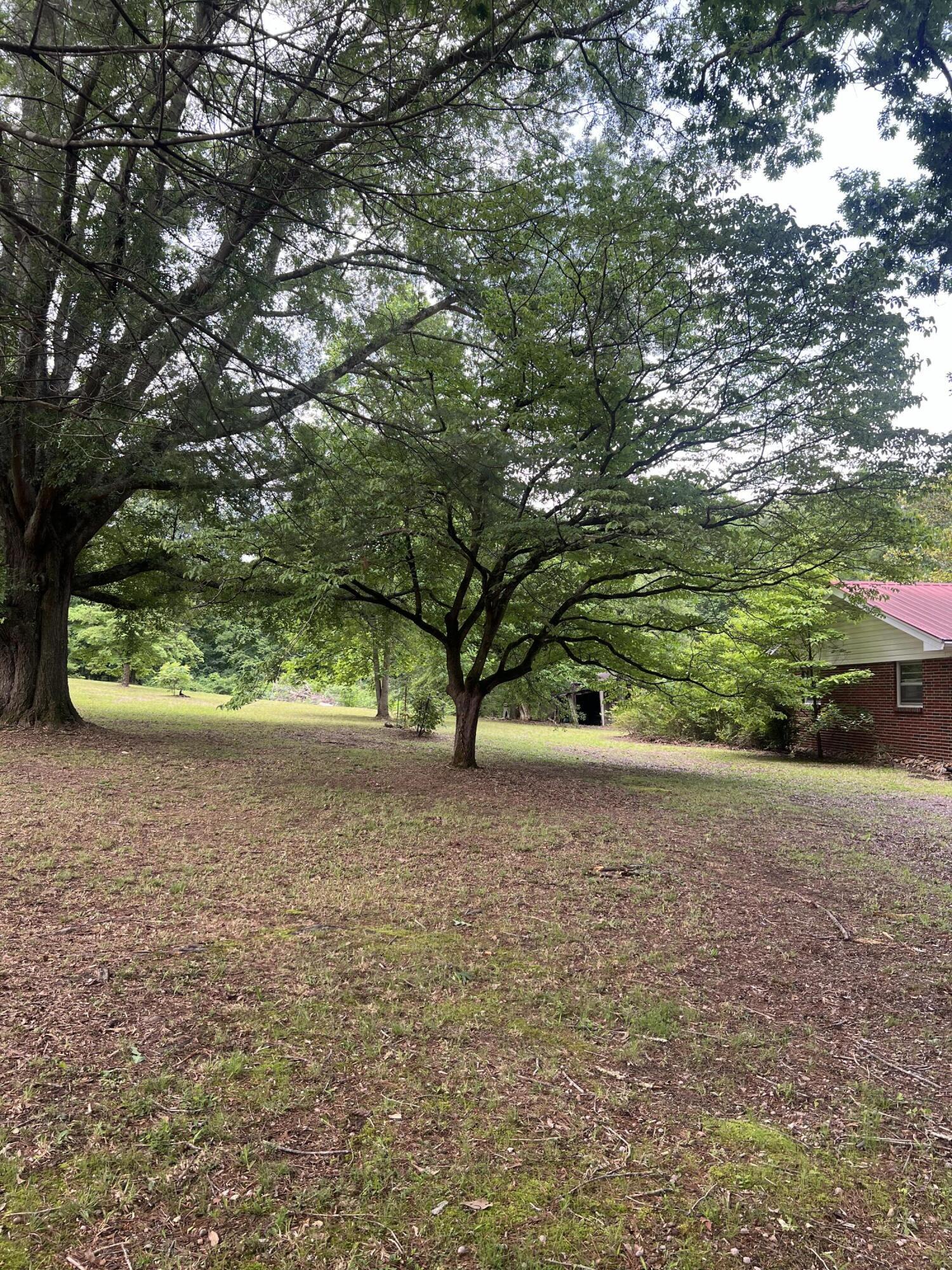 Image 3: Side yard view