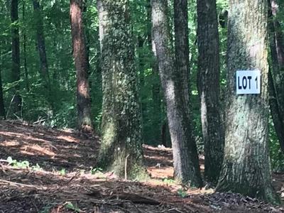 0 Piney Knob Drive