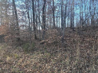 Lot 15 River Road