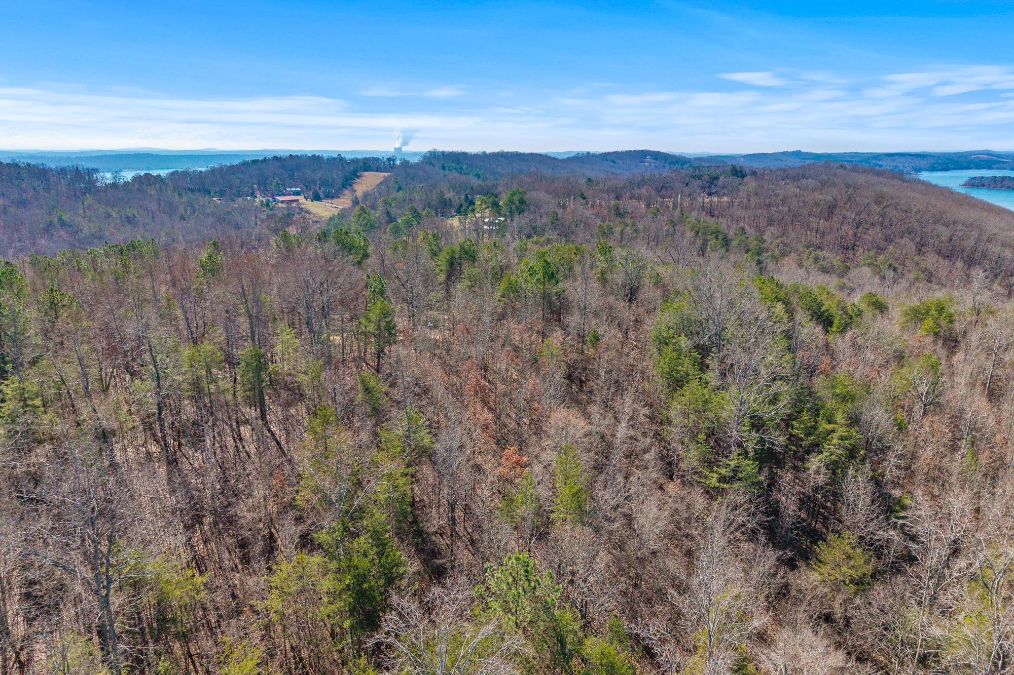 Image 4: 5 Acres