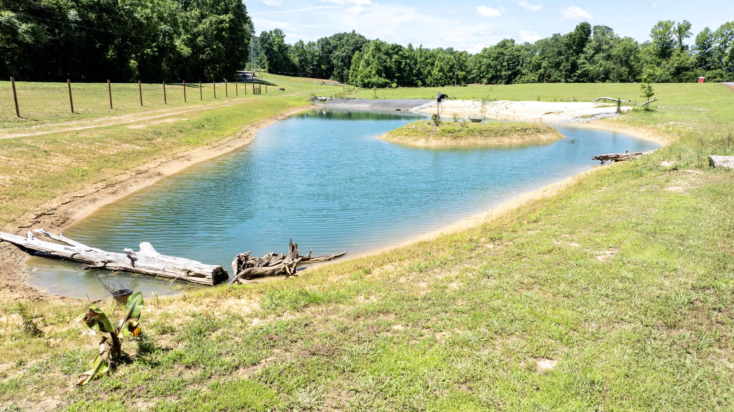 Image 2: DJI_20260614075226_0316_D