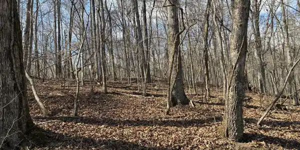0 Eagle Point Drive Lot 8