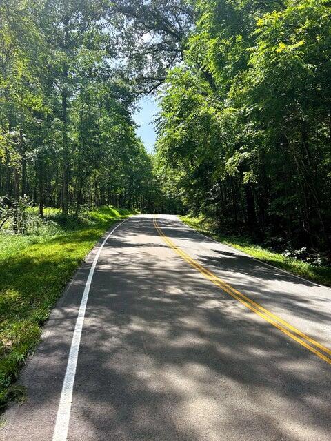 Image 4: PH 7 road front 2