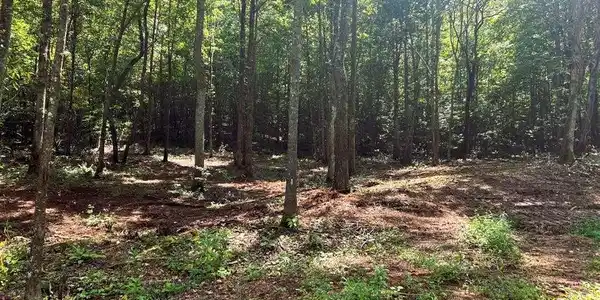Tract 8 Pleasant Hill Road
