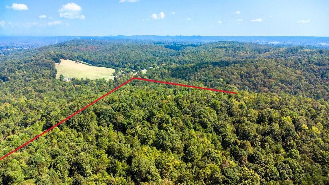 Image 2: PH 8 Aerial all tracts