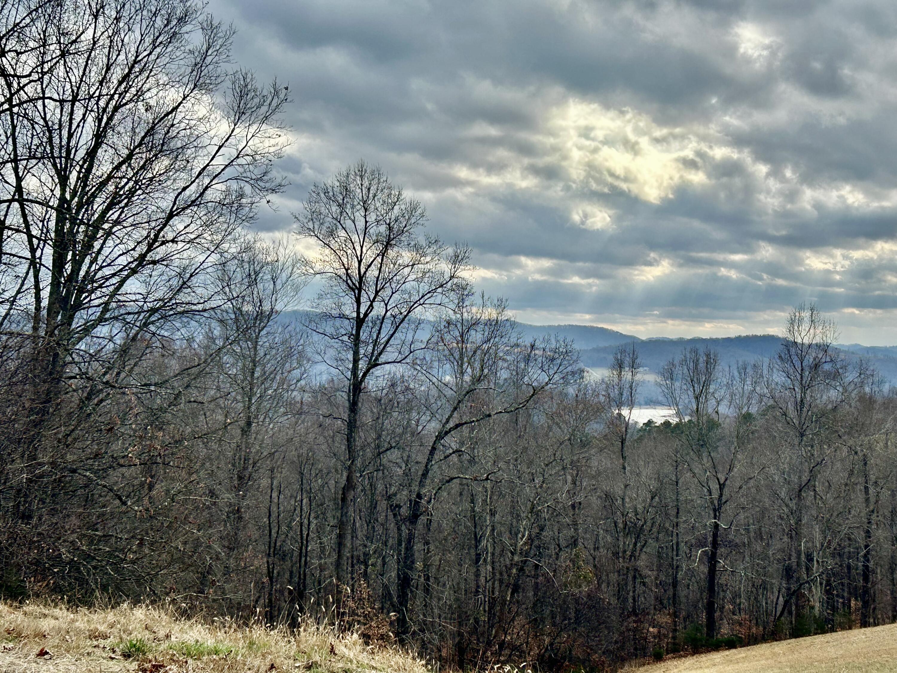 Image 1: mountain views