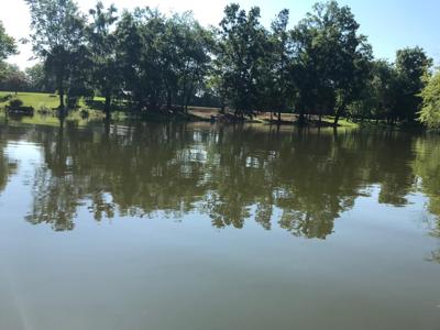 894 Riverbend Drive