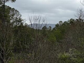 Image 3: IMG_6686