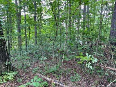 Lot 6 Melrose Place