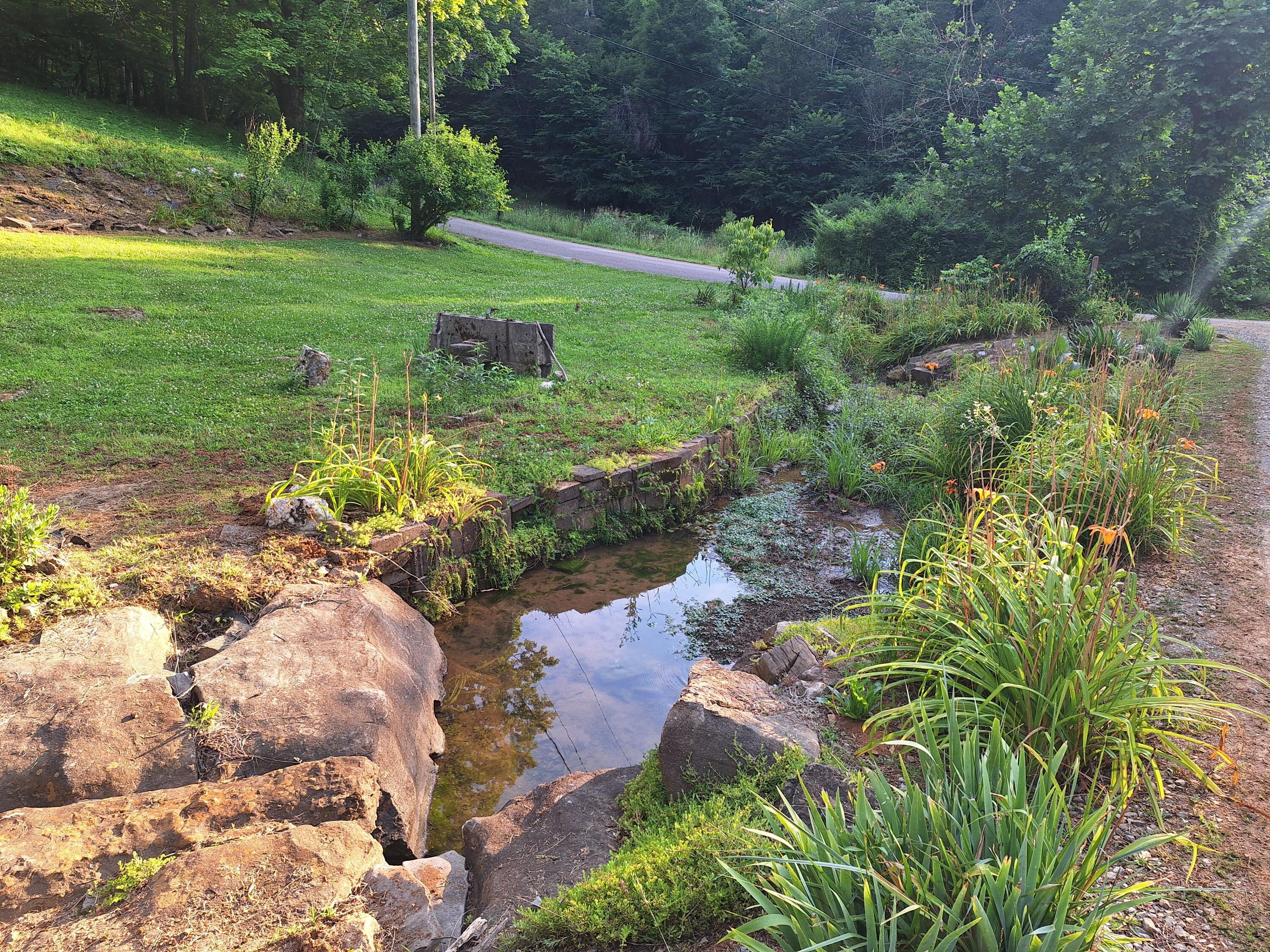 Image 4: 20260611_191903