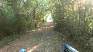 190 County Road 516