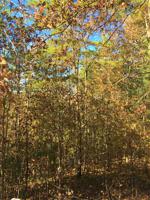 Lot 53 Pinoak Rd.
