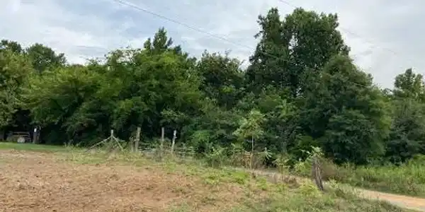 6200 Cottonport Road (tract 3)