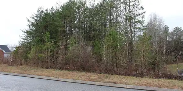 Lot 4 Millstone Drive