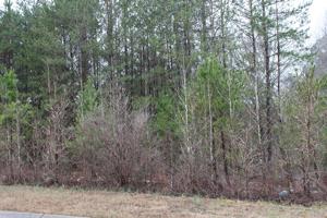 Lot #8 Millstone Drive