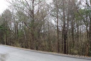 Lot 9 Millstone