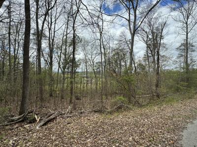 Lot 91 Butterfly Cove Trail
