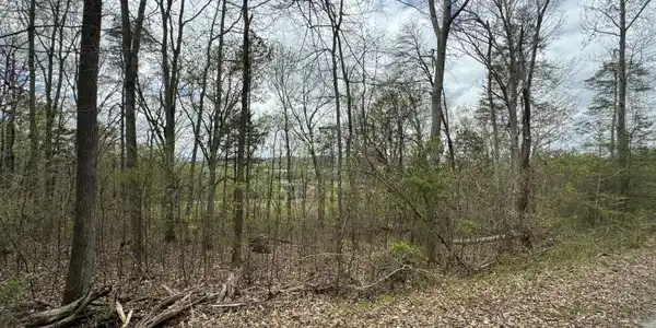Lot 91 Butterfly Cove Trail