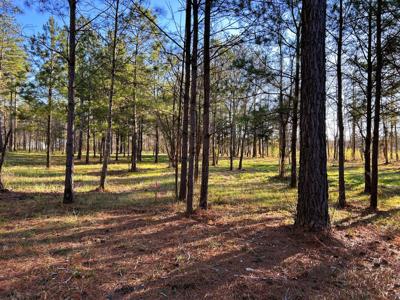 Lot 4 County Road 950