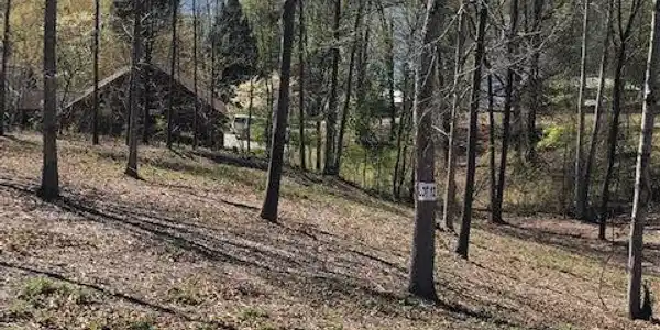 12 Piney View Drive
