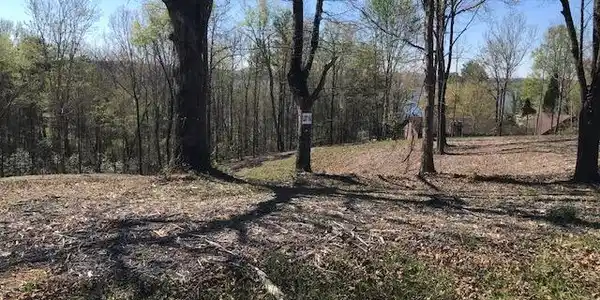 14 Piney View Drive