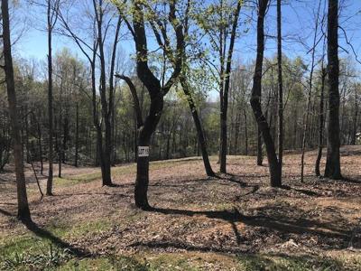 15 Piney View Drive
