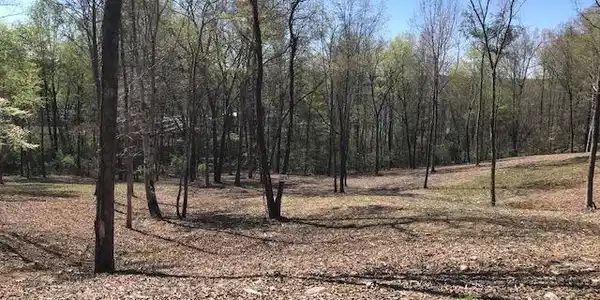 16 Piney View Drive
