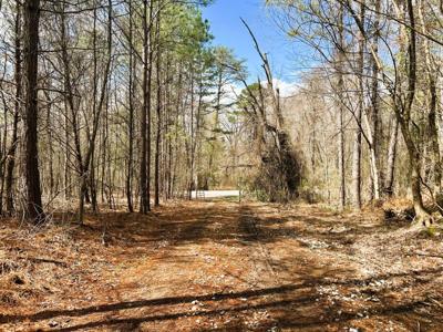 Lot 2 State Highway 304