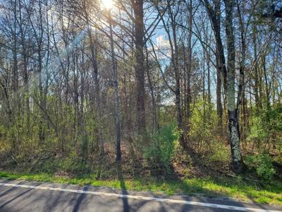 Lot 1 Highway 304