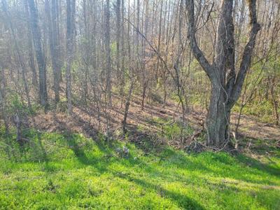 Lot 3 Highway 304