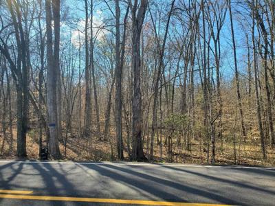 Lot 17 Highway 304