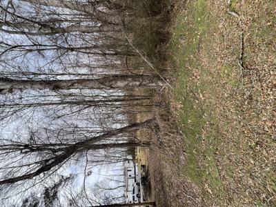 Lot 2 Tennessee 304