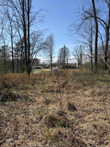 609 Old Tellico Highway N
