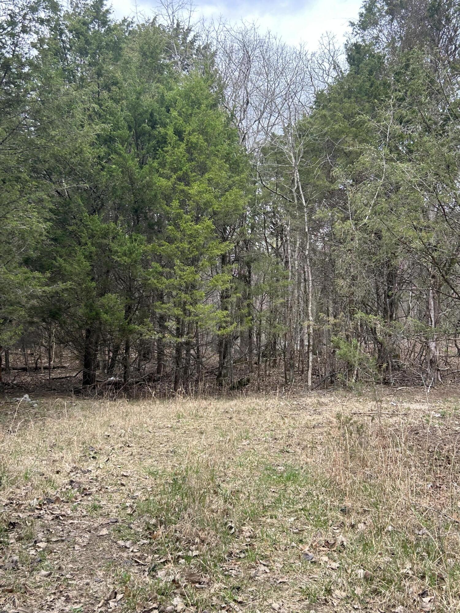 Image 3: IMG_4673