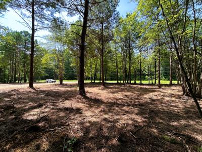 Lot 3 Highway 304