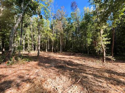 Tract 4 Pleasant Hill Road