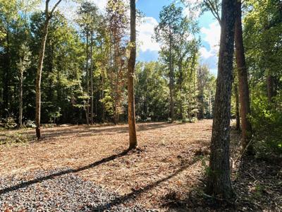 Tract 3 Pleasant Hill Road