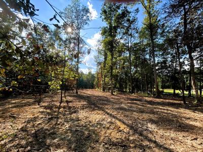 Tract 2 Pleasant Hill Road