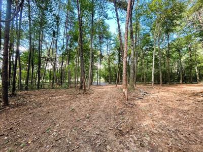Tract 5 Pleasant Hill Road