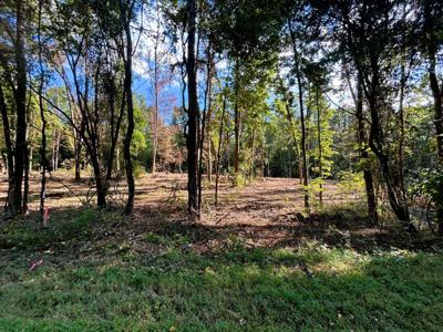Tract 1 Pleasant Hill Road