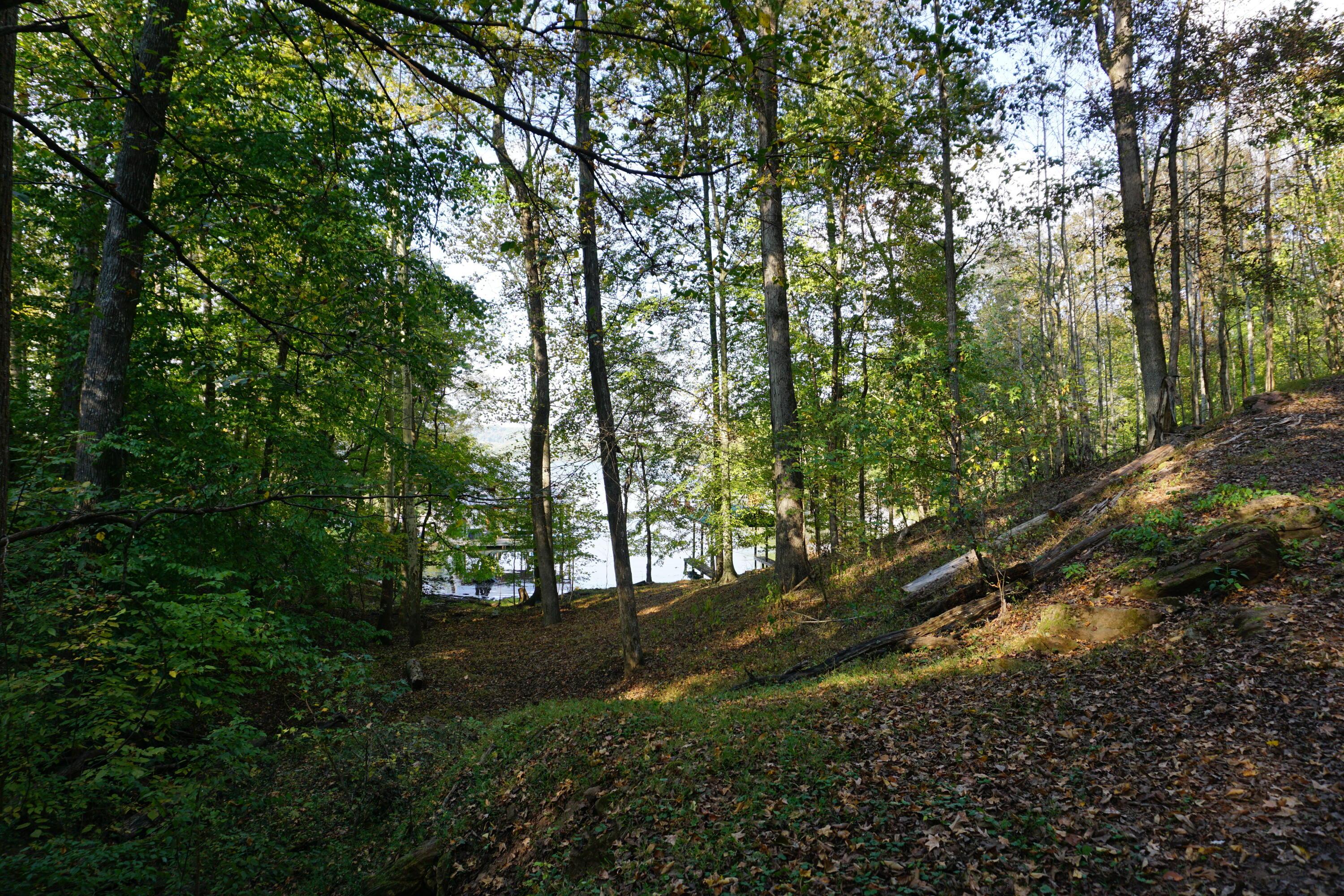 Image 4: Watts Bar Photo 4