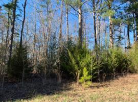 Lot 17 Brad Drive