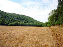 0 Sinking Cave Road