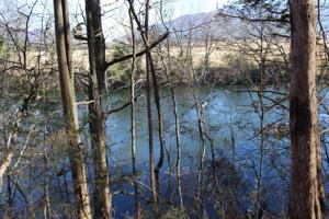 11.74 acres Moss Road