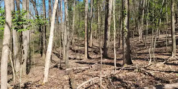 1.26 Acres Scenic Drive