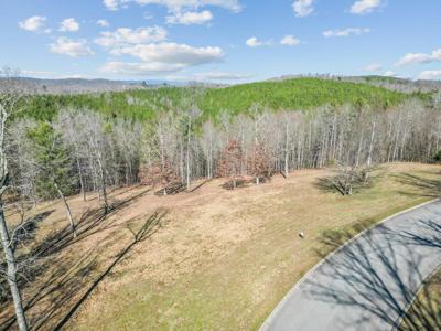 153 Hidden Forest Trail